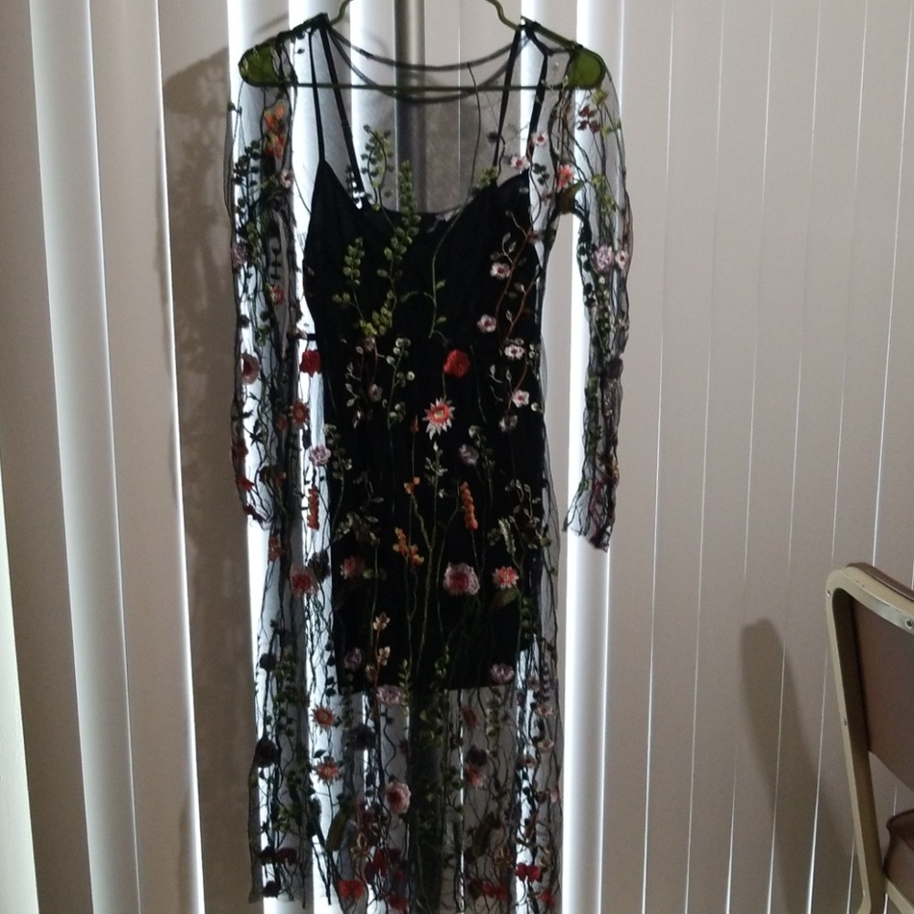 Mesh embroidered dress